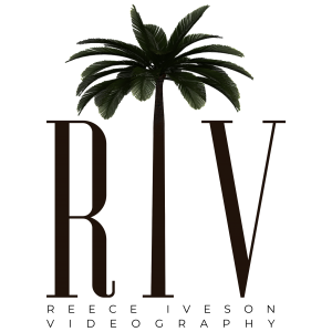 wedding videographer marbella